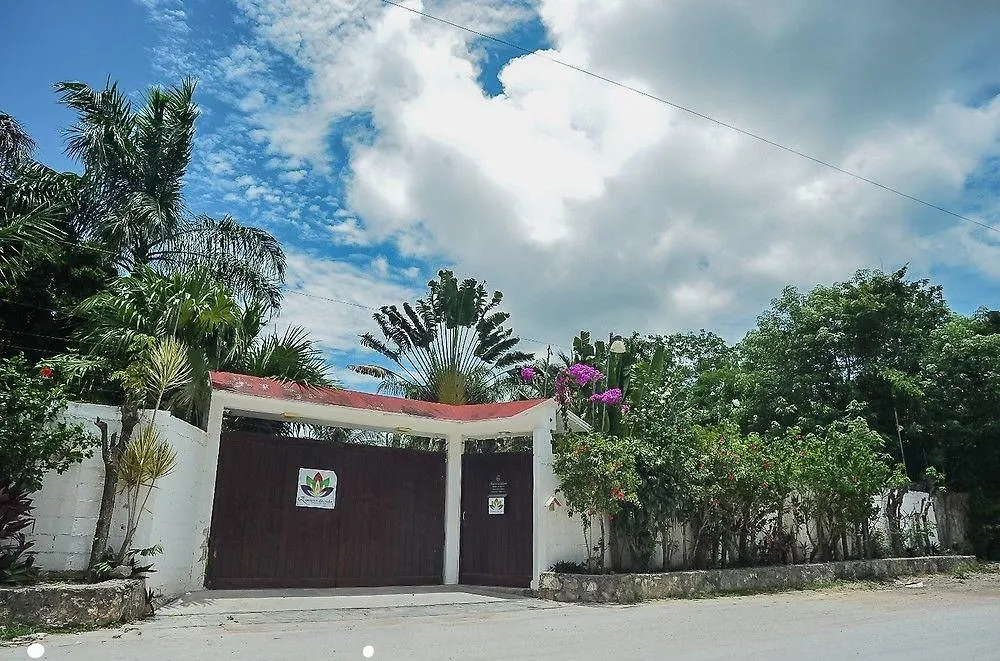 Villa Airport B&B Cancun